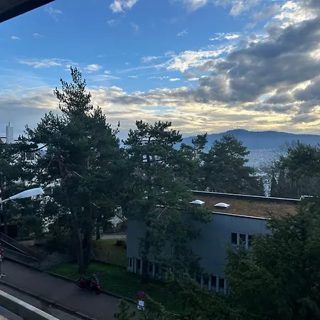 Lovely Room, 15 Min From Center, Mountain View Homestay Zurich