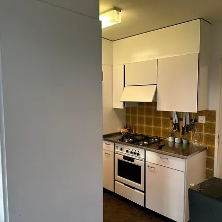 Lovely Room, 15 Min From Center, Mountain View Цюрих