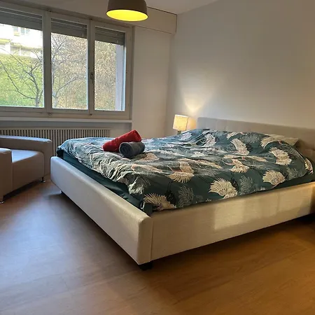 Accommodatie bij particulieren Lovely Room, 15 Min From Center, Mountain View Zürich