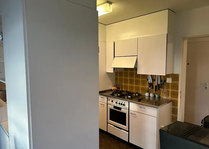 Lovely Room, 15 Min From Center, Mountain View Zürih